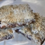 Seven Layer Magic Bars