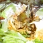 Slow Cooker Chicken Burritos Slow Cooker Chicken Burritos