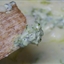 Spinach Artichoke Dip