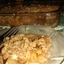 Steffie's Cinnamon Apple Crisp