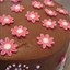 Strawberry Ice-Cream Cake covered in chocolate ganache
