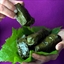 Stuffed Vine Leaves Stuffed Vine Leaves