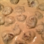 Swedish Meatballs in Sour Cream Sauce Swedish Meatballs in Sour Cream Sauce