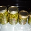Sweet Jalapeno Texas preserves Sweet Jalapeno Texas preserves