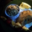 Teriyaki Sea Bass