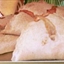 Traditional Forfar Bridies
