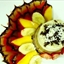 Triple Decker Mousse in Tropical Wave