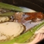 Turkey Bone Stock