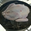 Turkey on the Weber