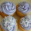 Vanilla Cupcakes