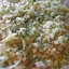 Vegetable Gratin Vegetable Gratin