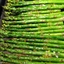 Veggie- Asparagus w dijon-lemon sauce