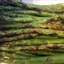 Veggie- Grilled Asparagus Rafts