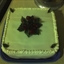 Very Berry Christmas Cake Very Berry Christmas Cake