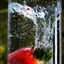 Very Berry Juice