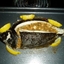 Whole Flounder with Herb Marinade Whole Flounder with Herb Marinade