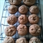 Whole Wheat Apple Muffins